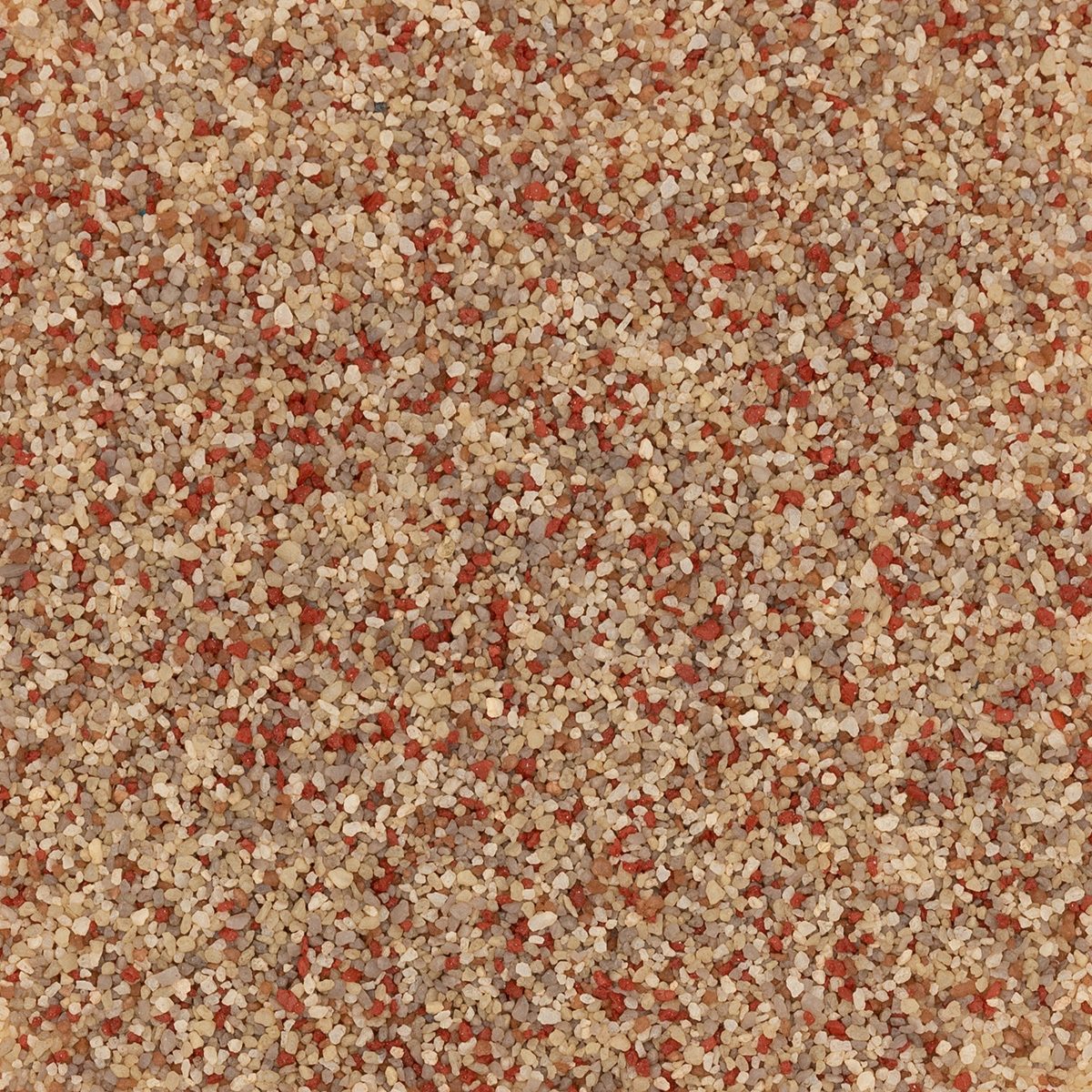 Torginol® | Cinnamon